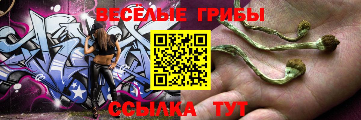 Псилоцибиновые грибы Psilocybe  Вход с VPN  Похвистнево 